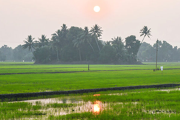 Kuttanad